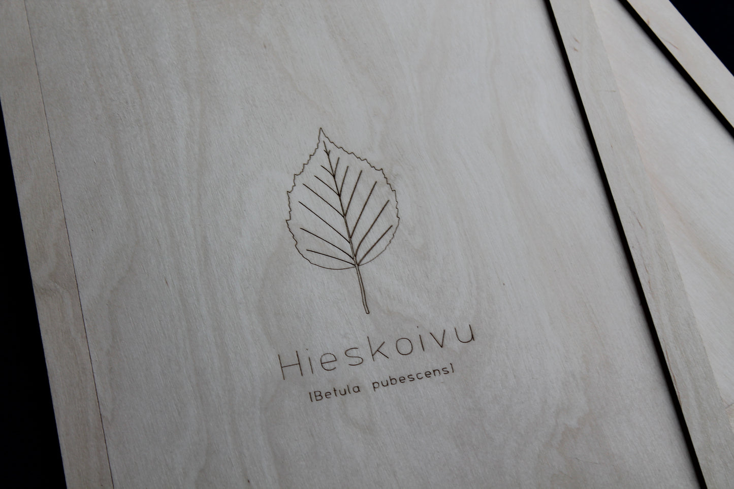 Hieskoivu -taulu