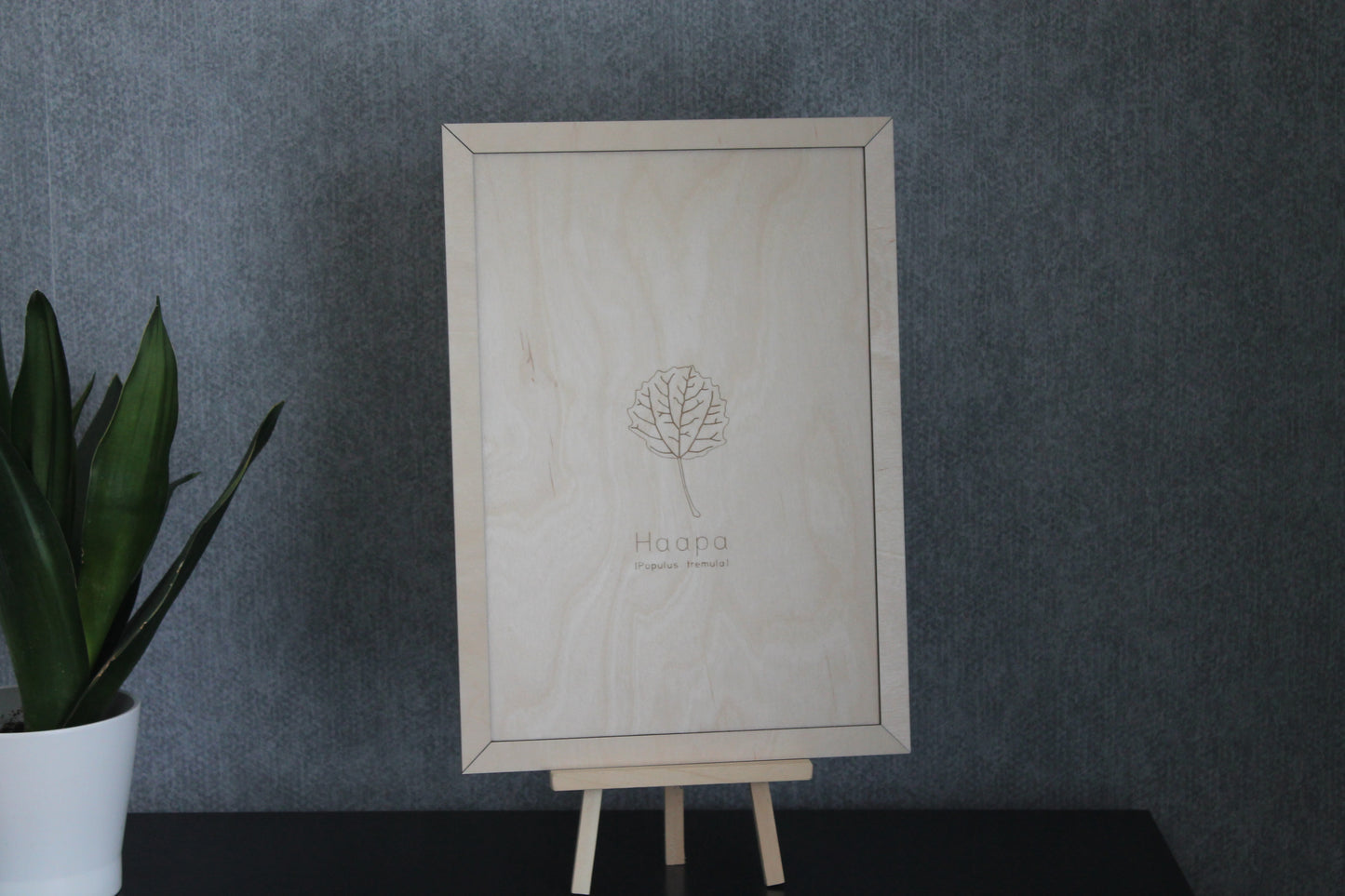 Aspen board