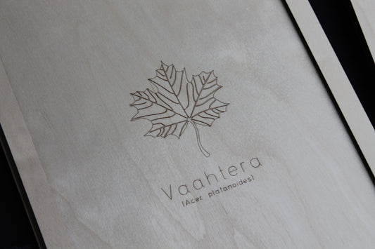 Maple board