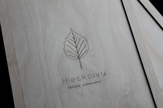 Hieskoivu -taulu