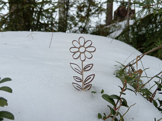 Flower #1